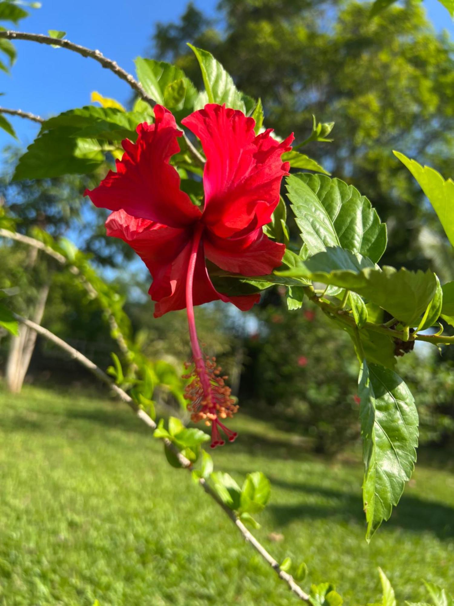 Lovely Garden Villas Пантай Ченанг Екстериор снимка