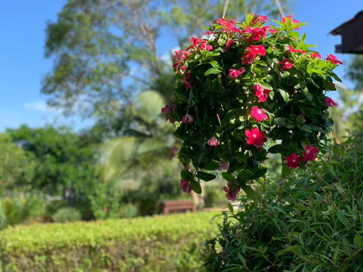 Lovely Garden Villas Пантай Ченанг Екстериор снимка